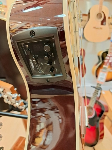 Yamaha - APX600 OVS 3